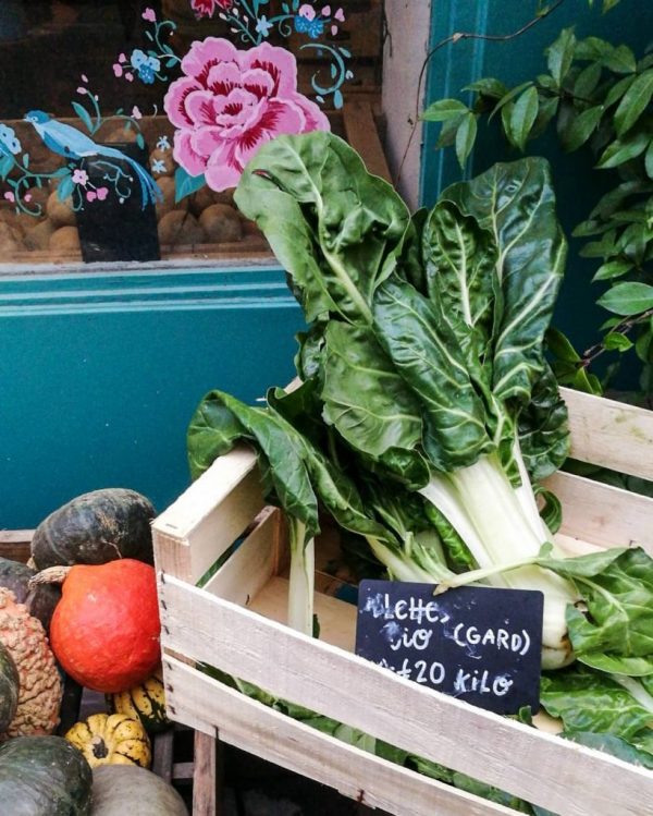 Le Champ des rêves / Hélène Rocco